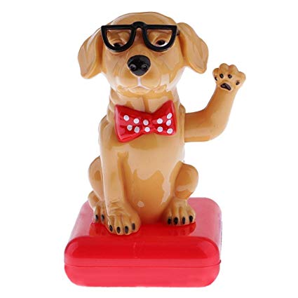 Hond met bril-D